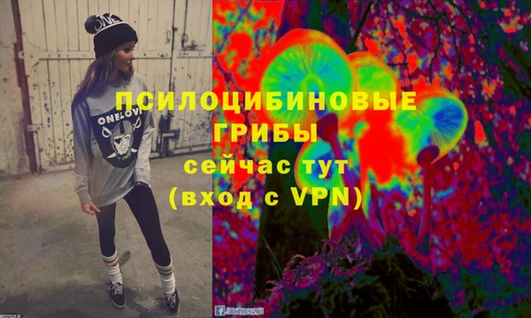 винт Аркадак