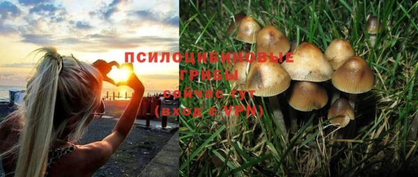 соль ск Алексин