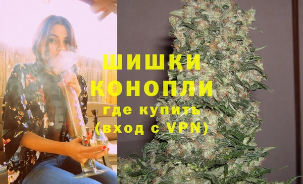 гидра Армянск