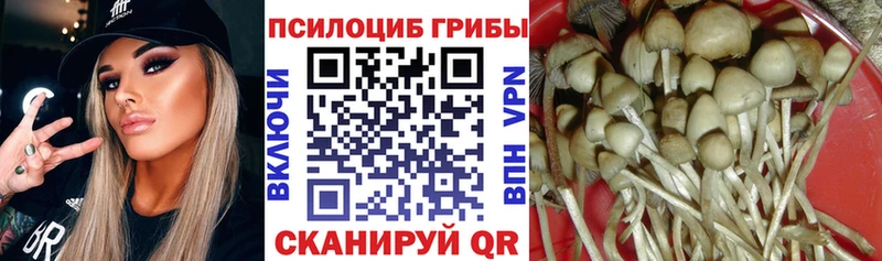Псилоцибиновые грибы прущие грибы  сколько стоит  Хадыженск 