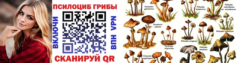Галлюциногенные грибы прущие грибы Хадыженск